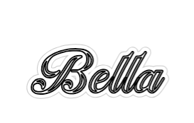 Outline Image